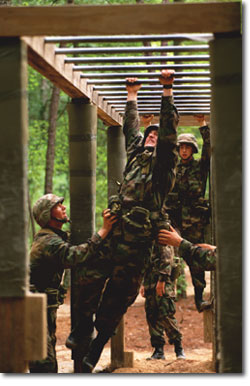 hanging.jpg